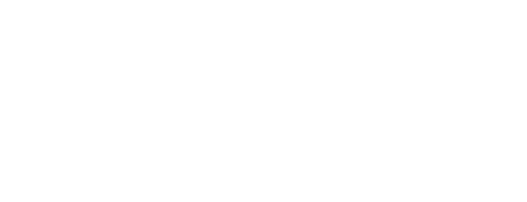 Grizzly broadband logo